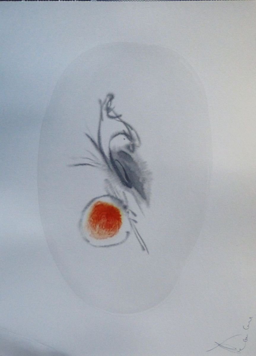 Illustrative Animal Ink Drawing By Frederic Belaubre, 11 X 16, Birds Of Carros #5, 29X41 Cm, Original Artwork