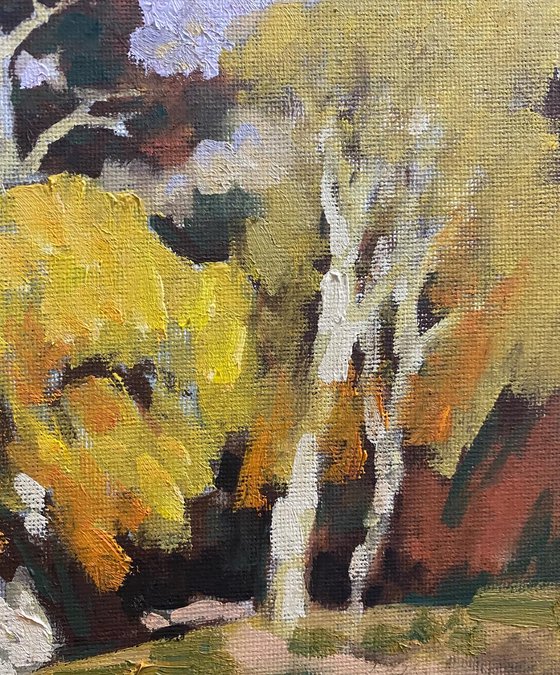 Original Oil Painting Wall Art Artwork Signed Hand Made Jixiang Dong Canvas 25cm × 30cm Trees in Autumn Park small  Impressionism