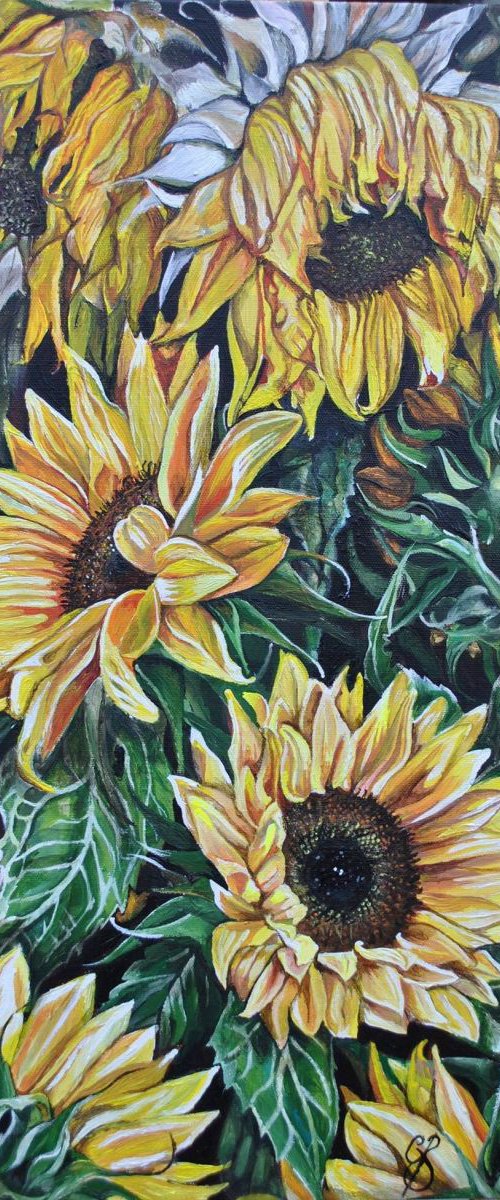 Sunflowers  by Ceri Baker