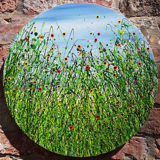 Poppy Meadows