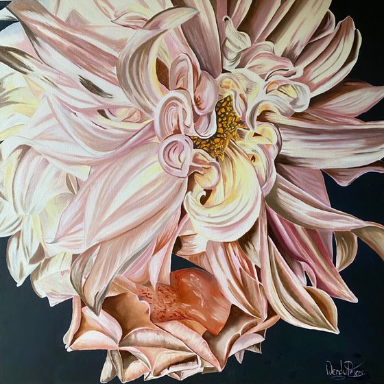 Dahlia Delight