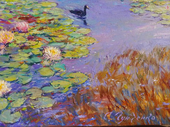 Nymphaeums are enveloped in the sun.