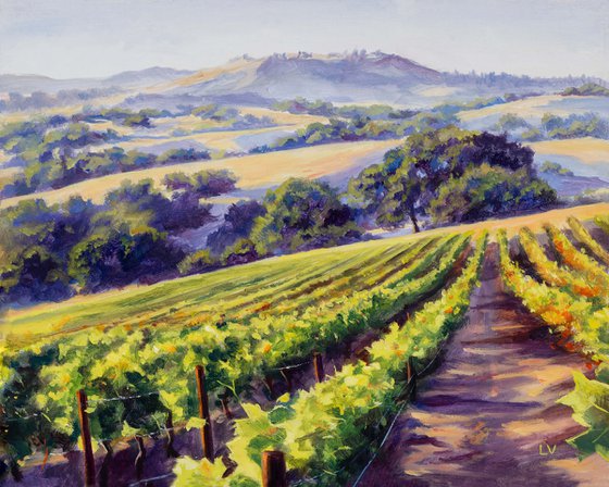 California vineyard landscape