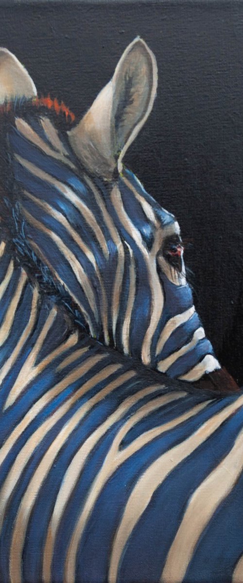 Midnight Blue by Norma Beatriz Zaro