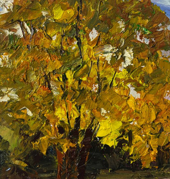 Vibrant Autumn Nature