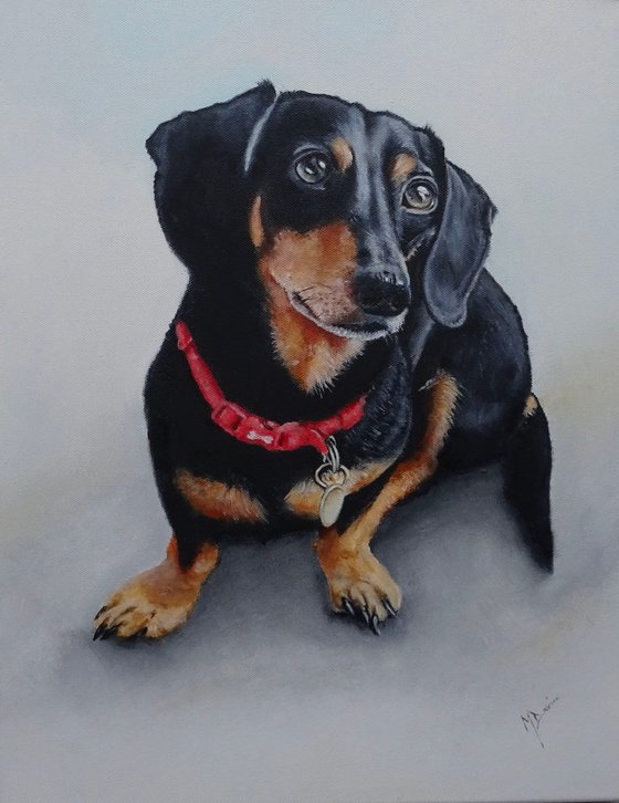 Little Dachshund ( Prints available)