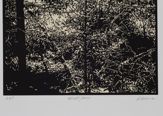 THICKET / PECOS