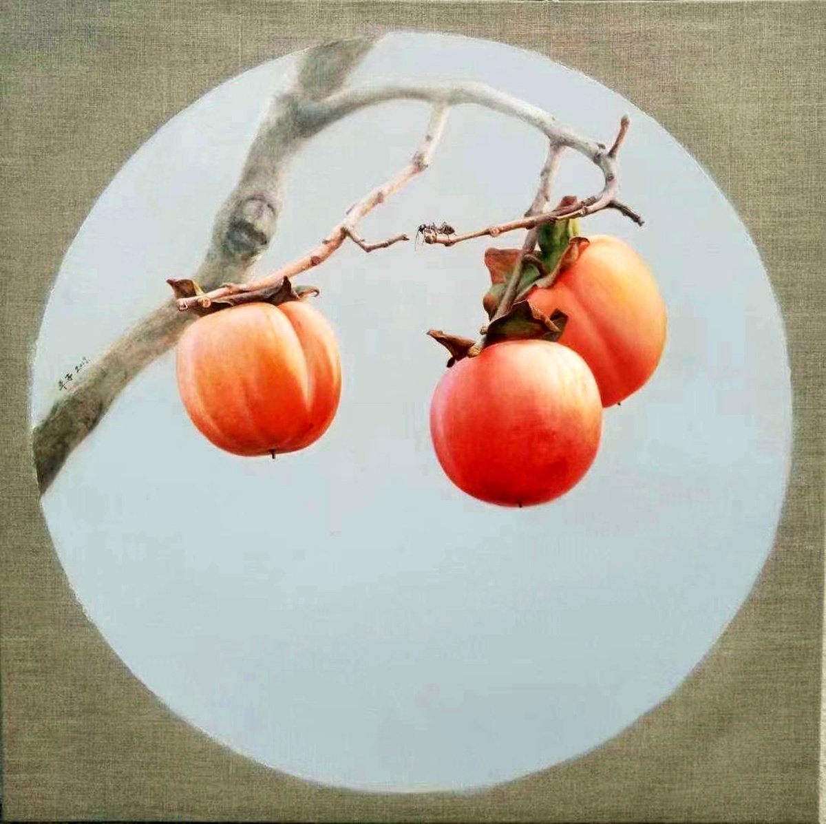 Still life:Persimmon and ant by Kunlong Wang
