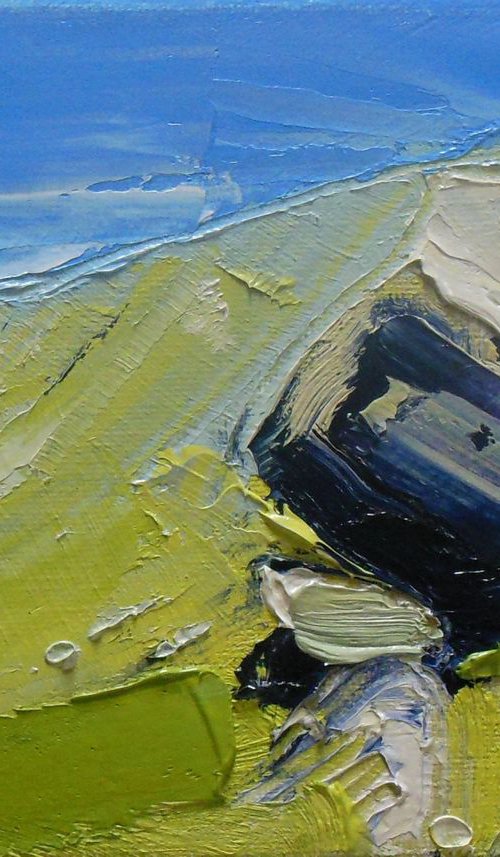 Boulder and Hillside at Hartsop Dodd by Ben McLeod