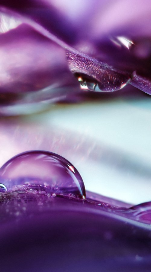 Onion Planet Dreamy Landscapes by Inna Etuvgi