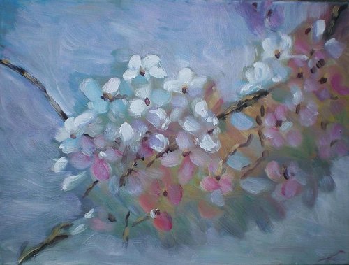 Sakura by Elena Sokolova