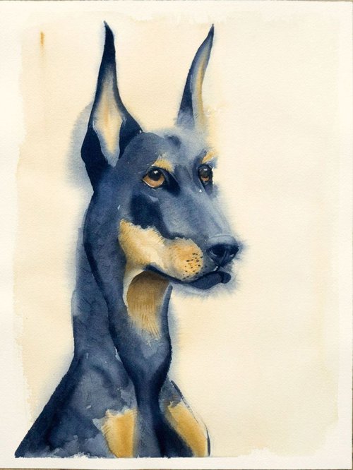 Doberman pinscher Dog portrait by Olga Shefranov (Tchefranov)