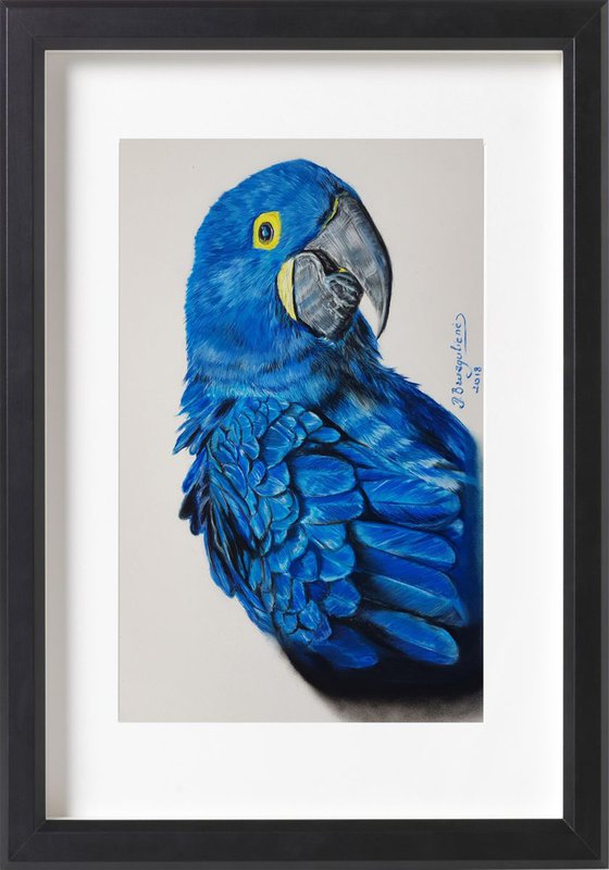 Pastel painting on Paper ,, Parrot''