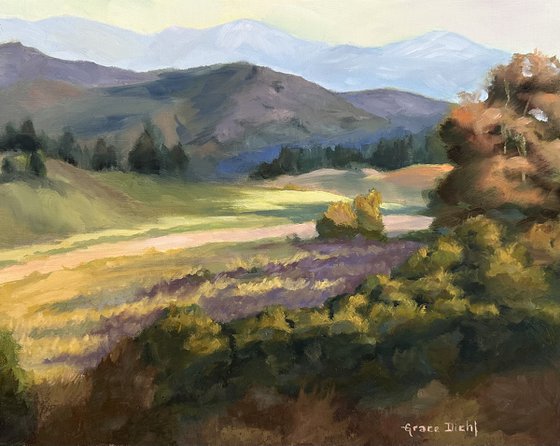 Weir Canyon