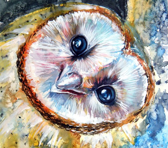 Barn owl