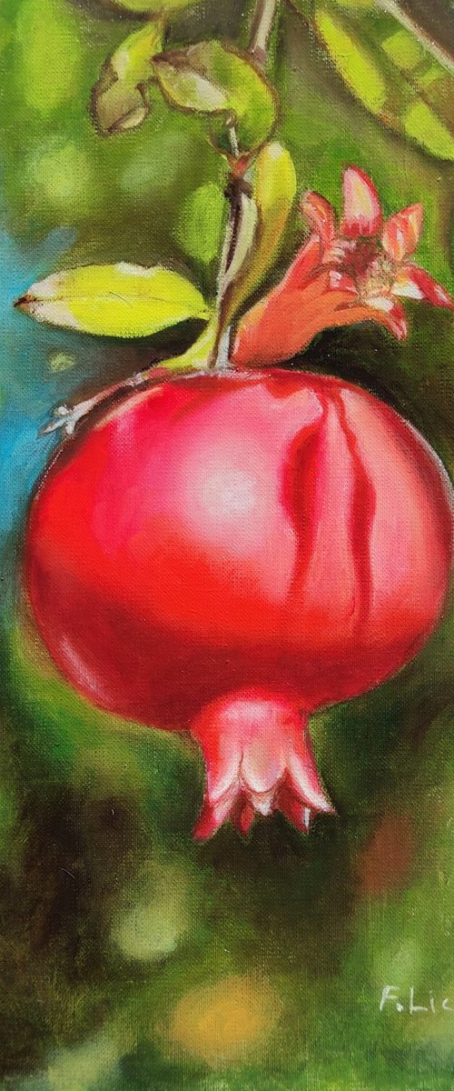 Pomegranate tree by Francesca Licchelli