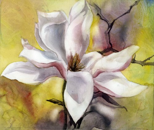 magnolia in pink watercolor floral by Alfred  Ng