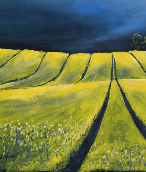 The Yellows  and the storm by Danijela Dan