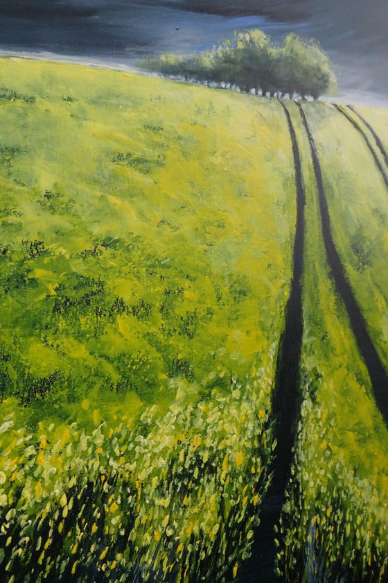 Canola  Fields and the storm - Fields and Colors Series