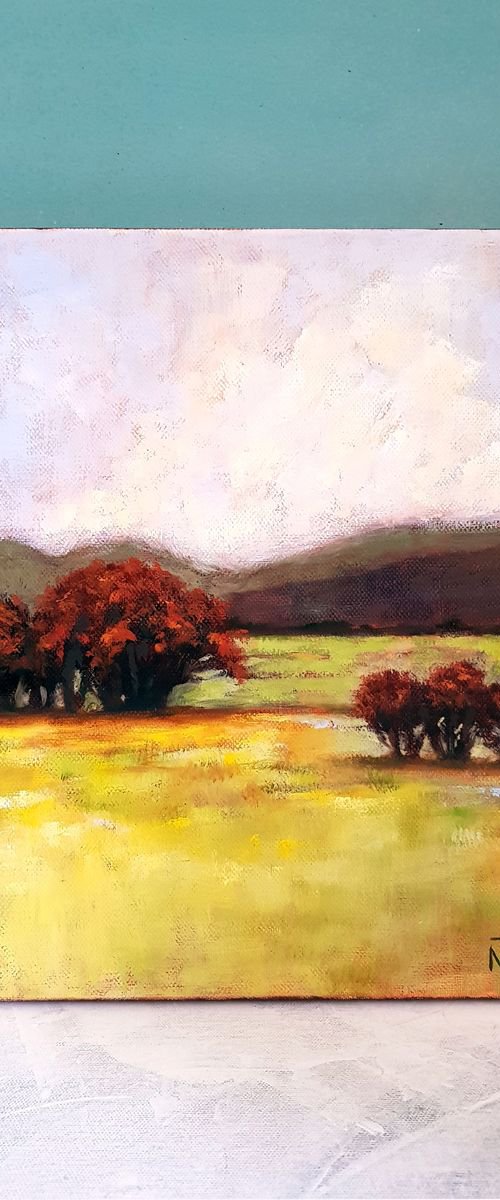 BACK HERE - 30 X 24 CM LANDSCAPE OIL PAINTING (2019) by Mary Naiman