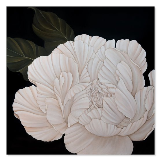White Peony