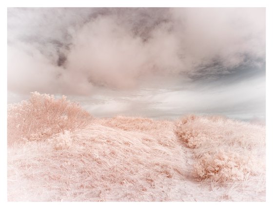 Trail Over Dunes, Infrared - 40 x 30"