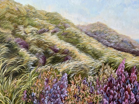 Sunny Day in the Dunes