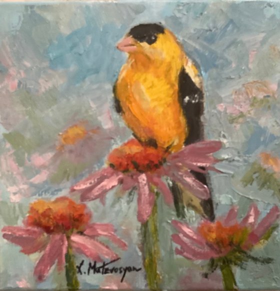 Yellow Bird