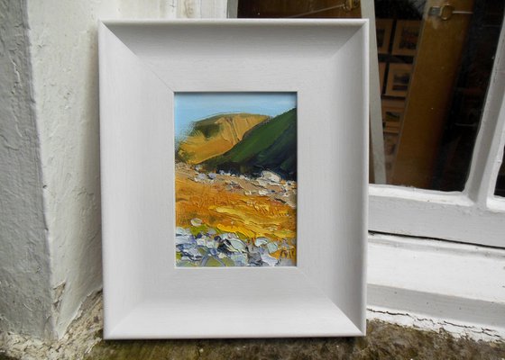 Yellow Grass and Mountains - Kentmere II