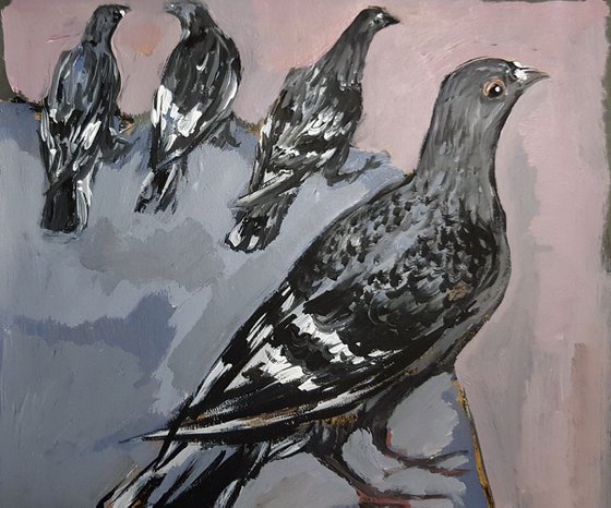 Pigeons 2