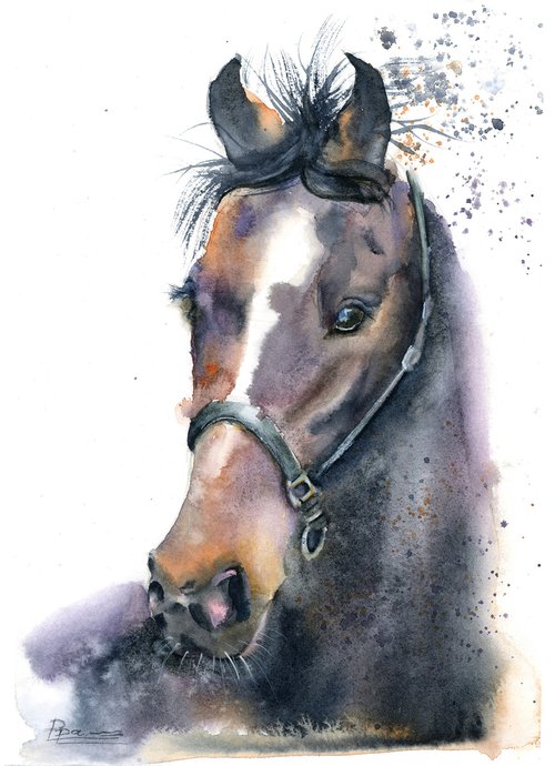 Horse portrait (2) by Olga Shefranov (Tchefranov)