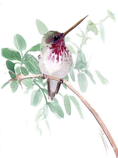 Hummingbird by Suren Nersisyan