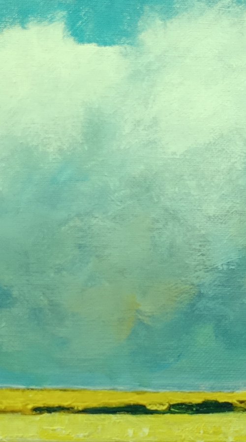 Prairie Sky, Summer by David J Edwards