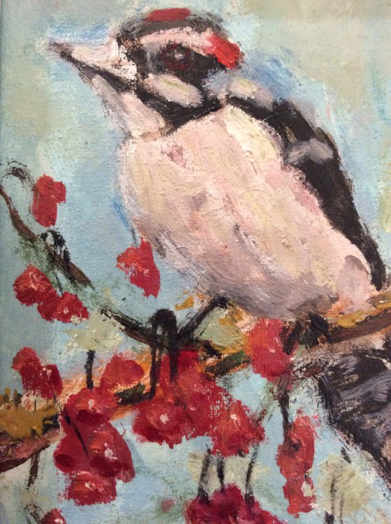 Downy woodpecker