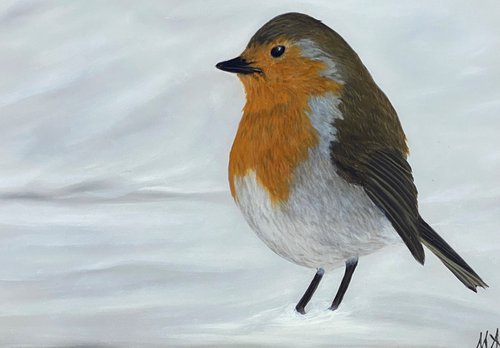 Robin on Snow by MINET