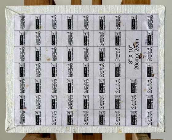 Flowers from my garden 3