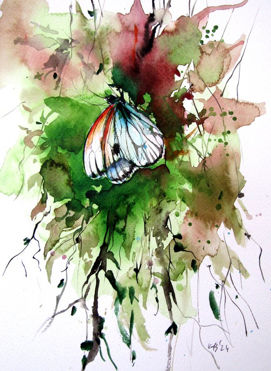 Butterfly collection