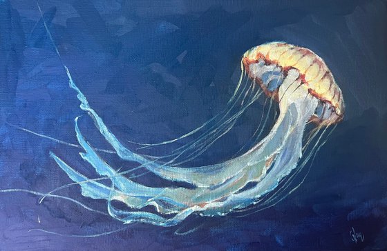 Jellyfish 2