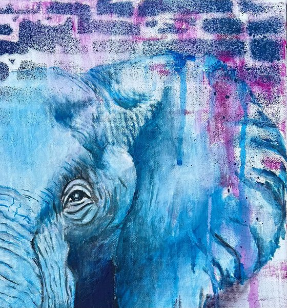 Elephant Pink 'n' Blue