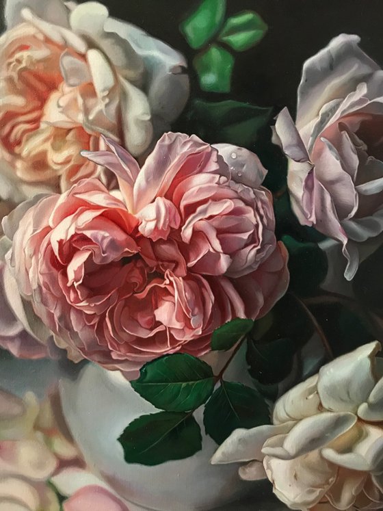 my roses
