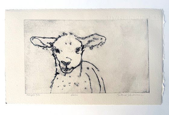 Lamb