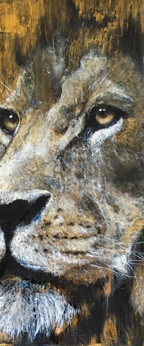 Lion, Golden Lion, black by Paul Hardern