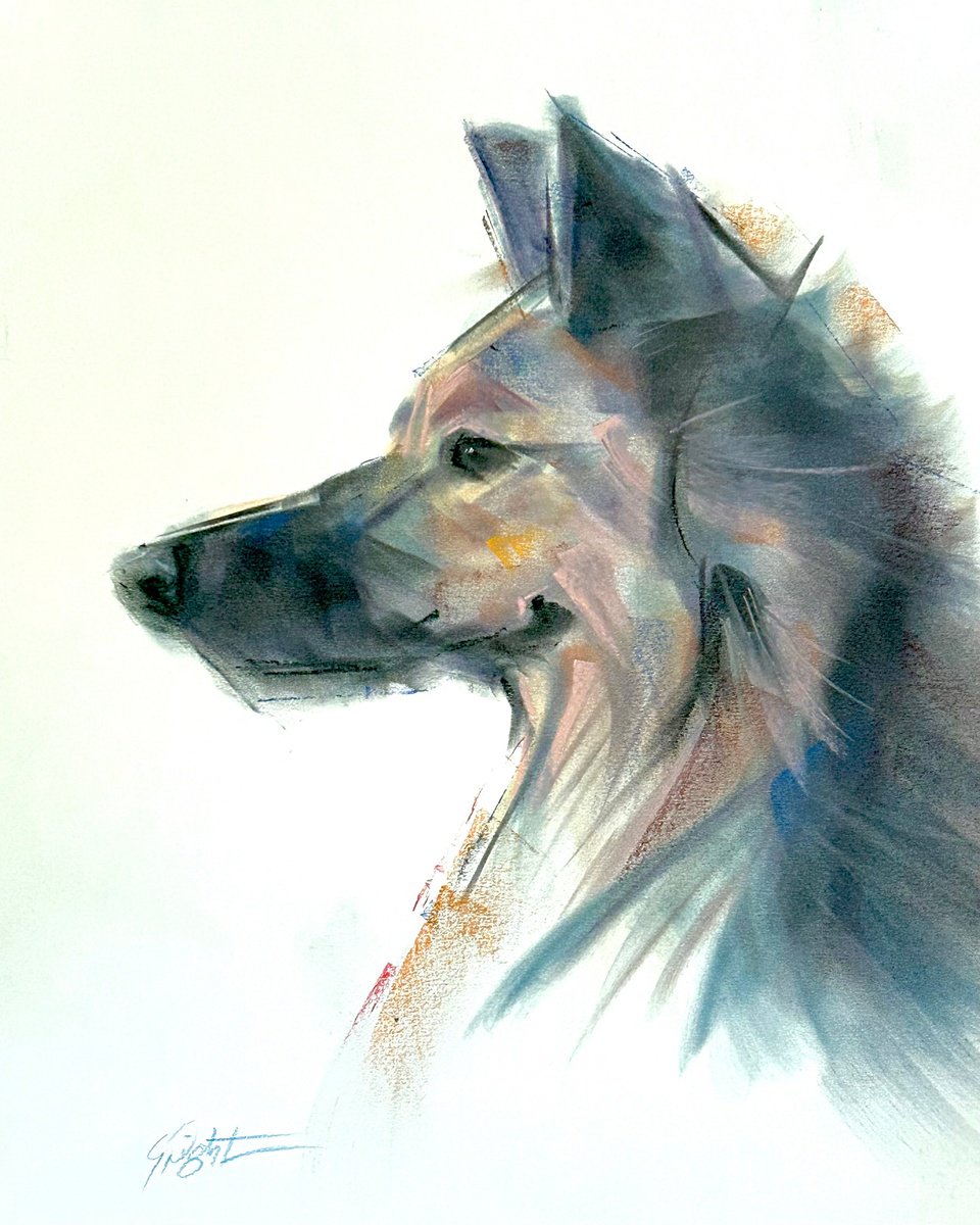 Expressive Animal Pastel Drawing By Deke Wightman, 11 X 14, A Noble Nose, Original Artwork