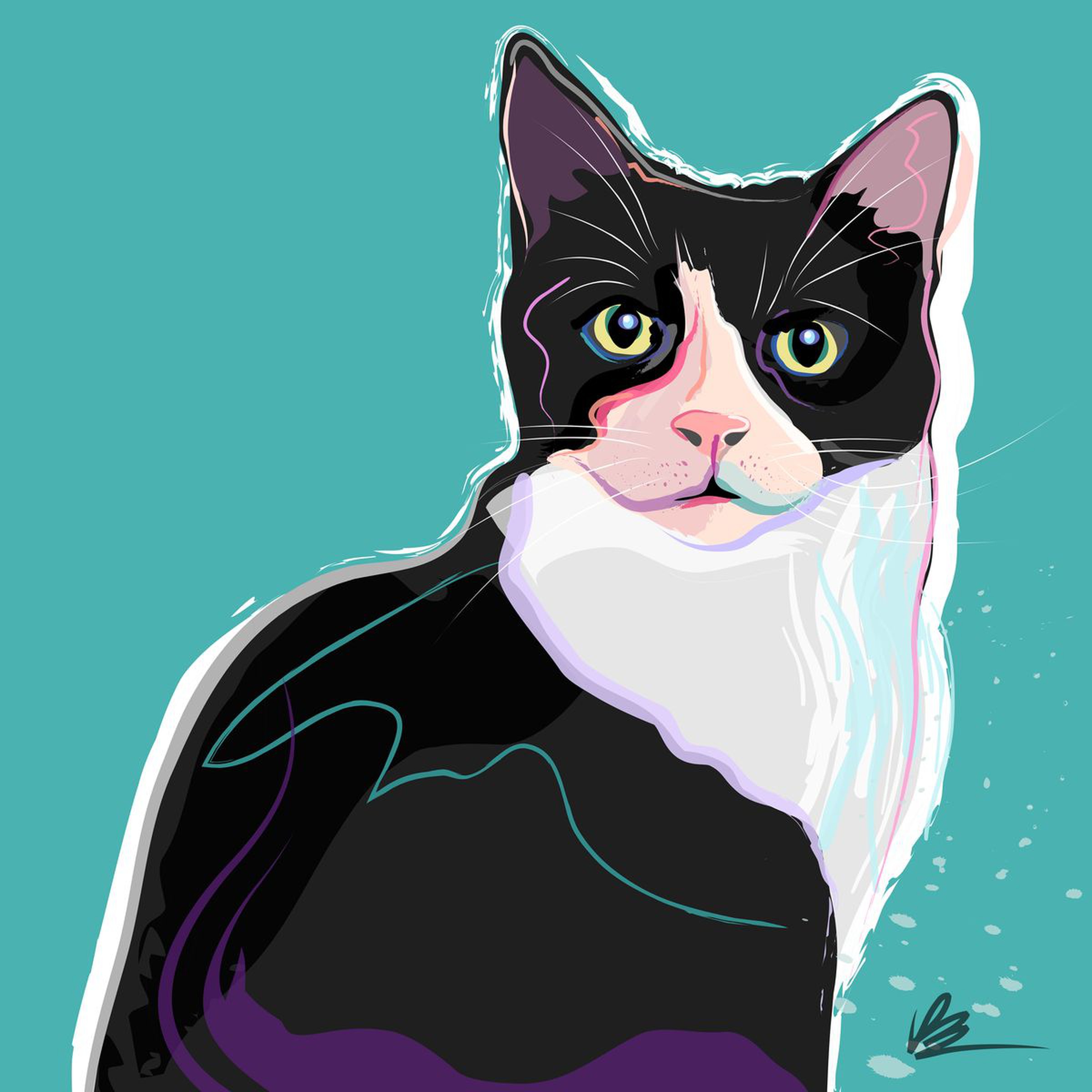 Moggy Black White Cat By Katie Bell Artfinder