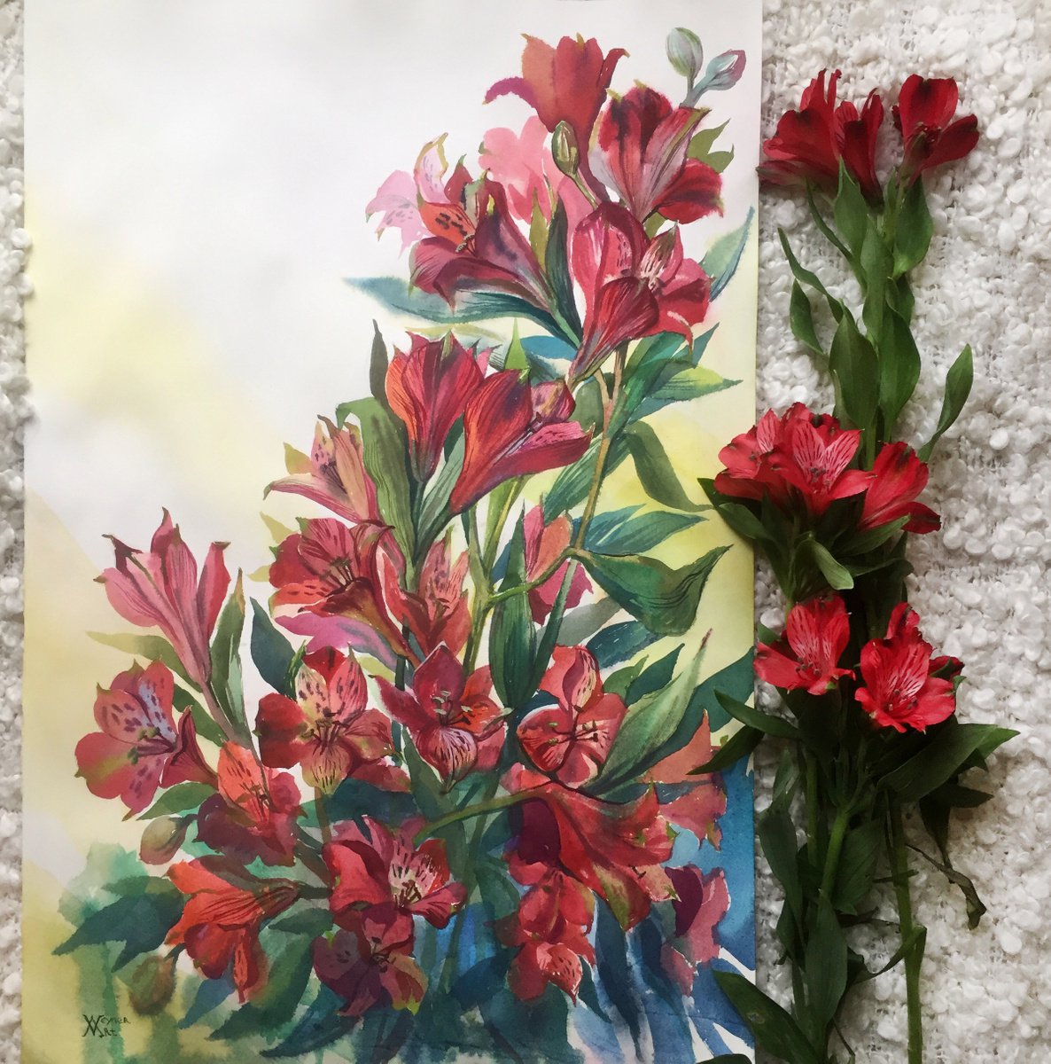 Watercolor painting original flower alstroemeria 2024