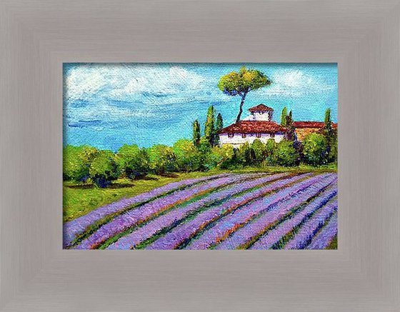 Miniature landscape of Lavender fields