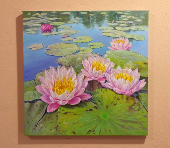 Water lilies