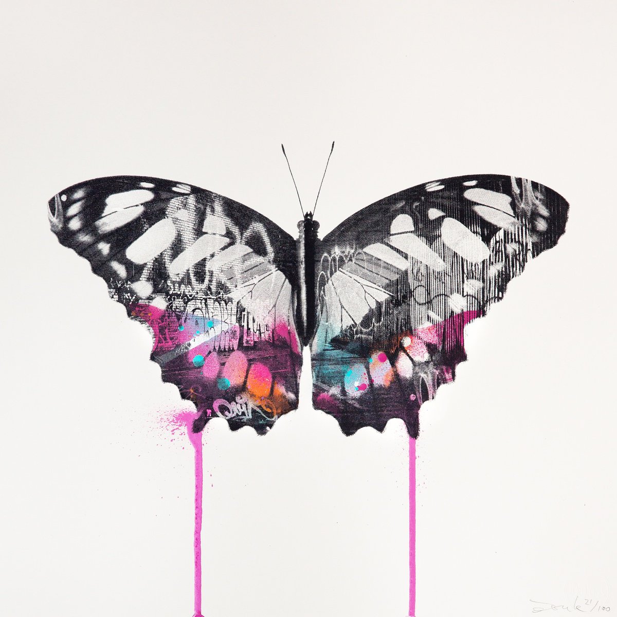 Graffiti Butterfly (Pink Edition) by Donk