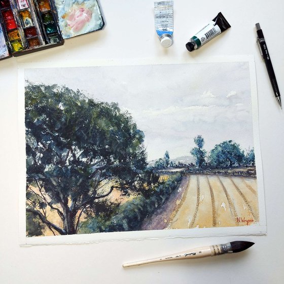 Tree at the Edge of the Field