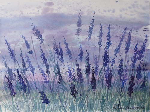 Lavender by Elena Shichko